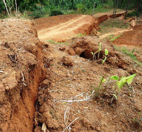 Umusozi wa Kibingo watangiye kurigita mu mpera z