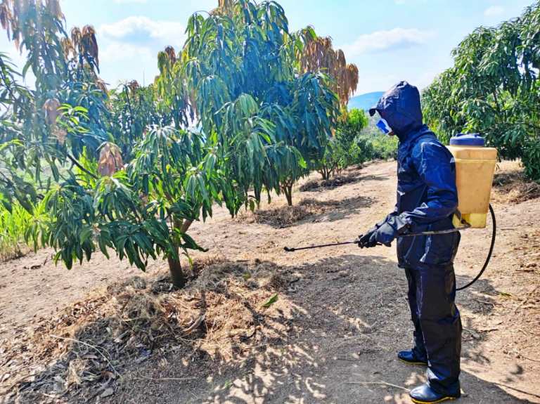 Beretswe uko umuti uterwa n