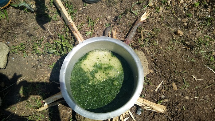 Umuti ukoze mu miti gakondo bisanzwe bivura niwo bakoresha mu kurwanya ibyonnyi