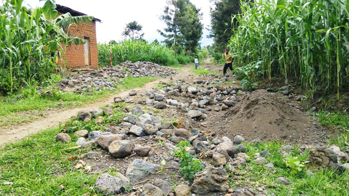 Umuvu w'amazi aturuka mu birunga uzana n'amabuye manini akuzura mu mirima no mu ngo z'abaturage.