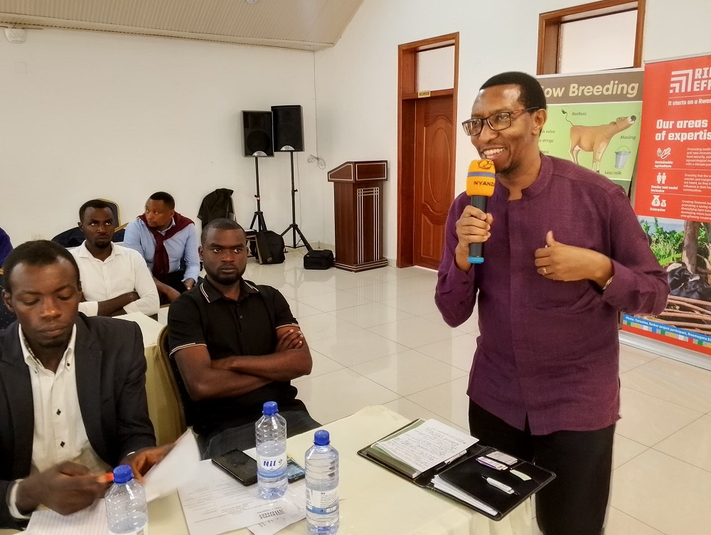 Umuyobozi wa Ripple Effect mu Rwanda, Munyankusi Laurent, avuga ko hakiri ikibazo cyo kuzamura umukamo, kandi bishoboka ko inka yakamwa kugeza kuri litiro 70 ku munsi