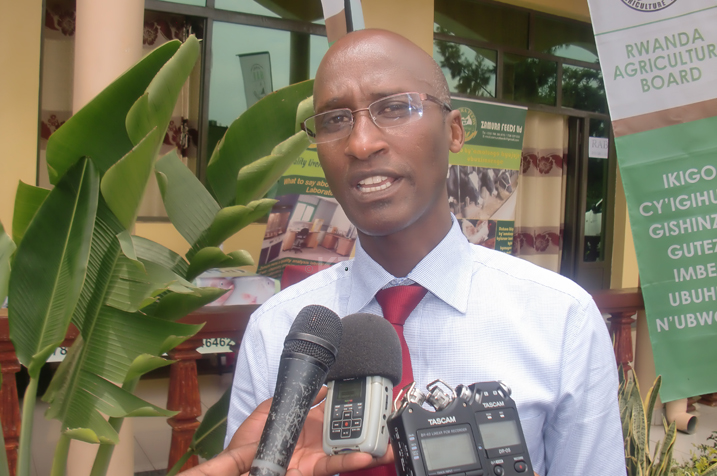 Umuyobozi wa RAB avuga ko gutera intanga ingurube birinda ikwirakwizwa ry'indwara