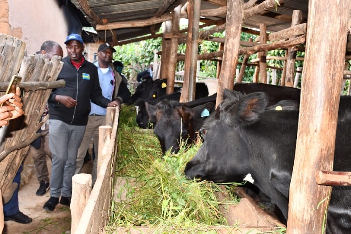 Basuye umworozi ntangarugero