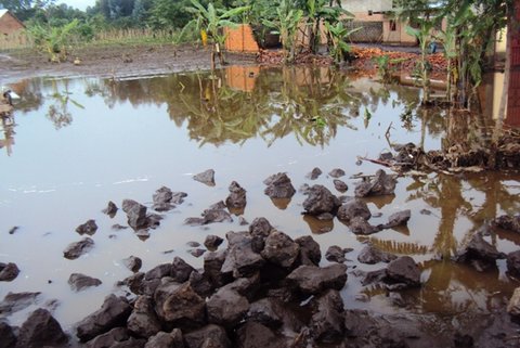 Imirima imwe yahindutse ibizenga