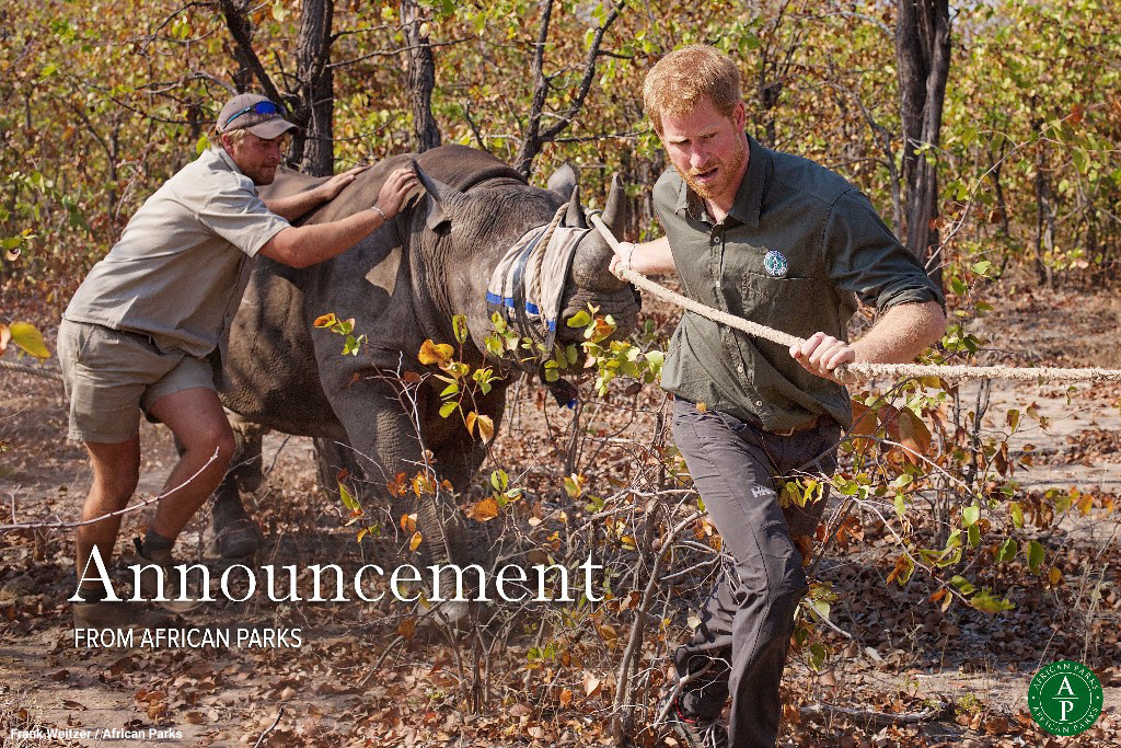 Igikomangoma cy'Ubwongereza Harry gikurura Inkura 