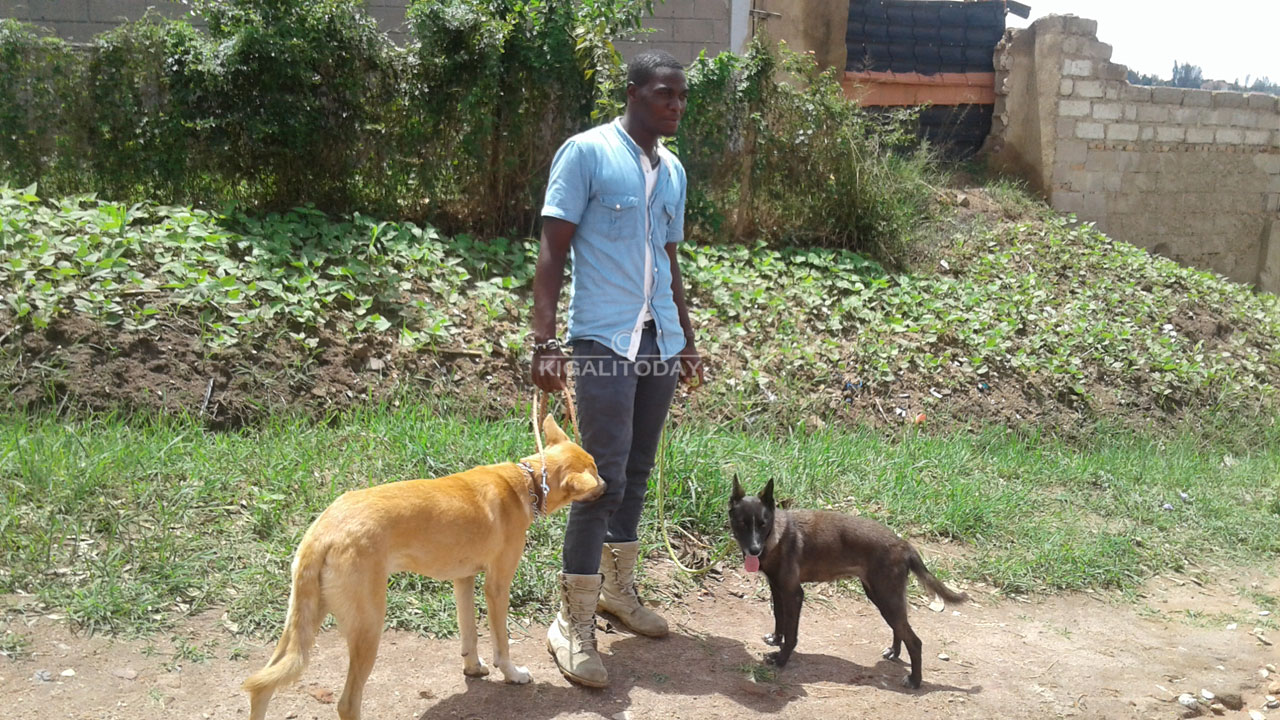 Ureste kwita ku mbwa z