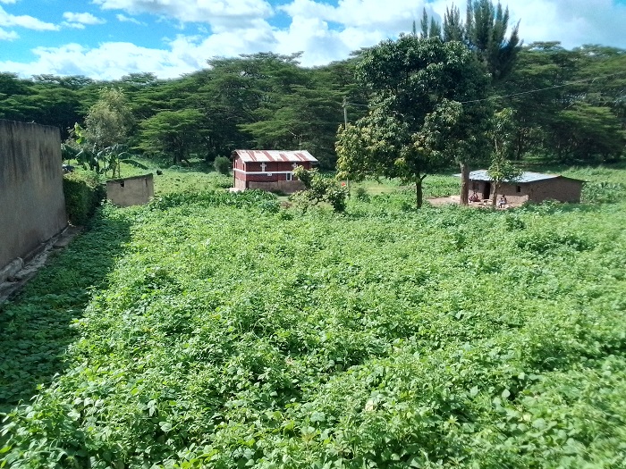 Uru rusengero rwafashaga abakirisitu bategereye Paruwasi ariko ruri mu mazi