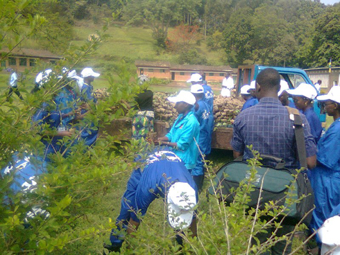 Urubyiruko rutegura ibiti rugomba kuzatera mu gihe cy