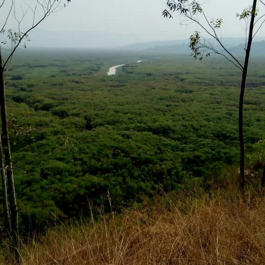 Urufunzo rw'umugezi w'Akanyaru rwaguyemo Abatutsi benshi