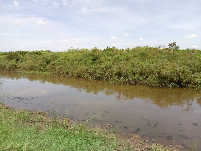 Urufunzo rwarimo amazi menshi ku buryo abasanganywe intege nkeya bakuwemo bameze nabi bajya kuvurwa