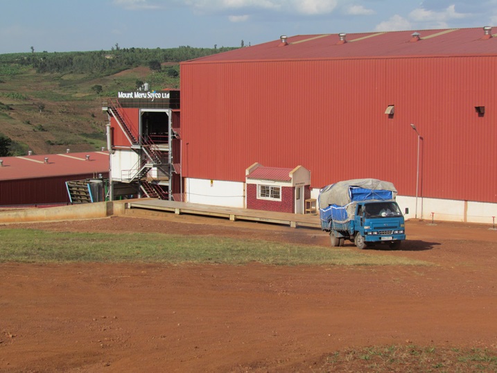 Uruganda rwa Mount Meru Soyco ngo rwatangiye kubona umusaruro wa soya.