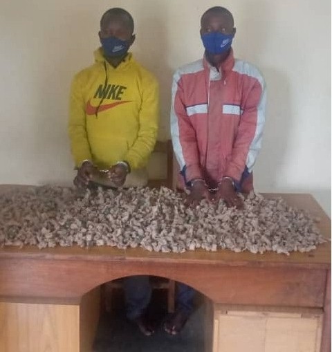 Bafashwe bakwirakwiza urumogo mu baturage