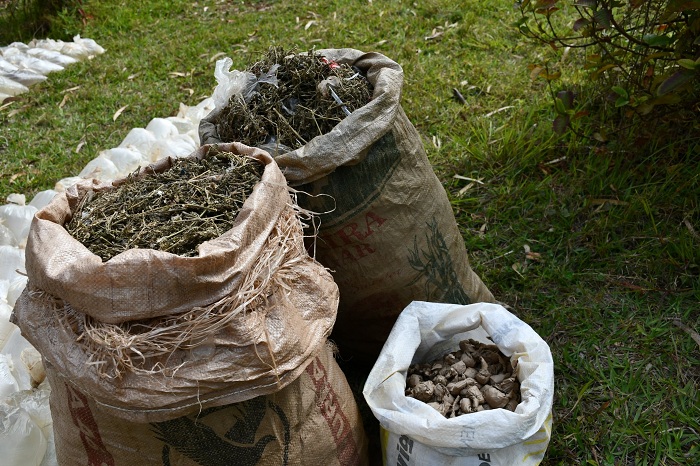 Ikiyobyabwenge cy'urumogi mu bikomeje gufatirwa mu mirenge yegereye imipaka