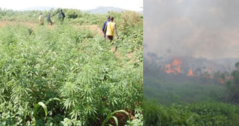 Uru rumogi rwabonetse mu gishaka cy