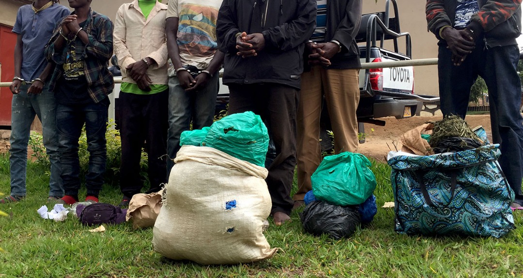 Ibiyobyabwenge bihombya imiryango n