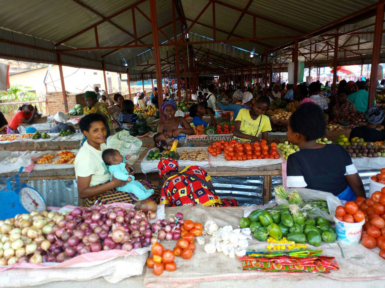 Urwanda rusigaye rutanga imyaka irimo ibigori n