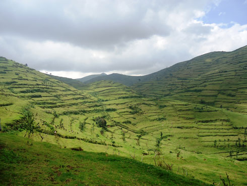 Aha hantu hagenewe guterwa ibiti hatijijwe Abanyecongo ngo babe baragiyemo inka bahunganye.