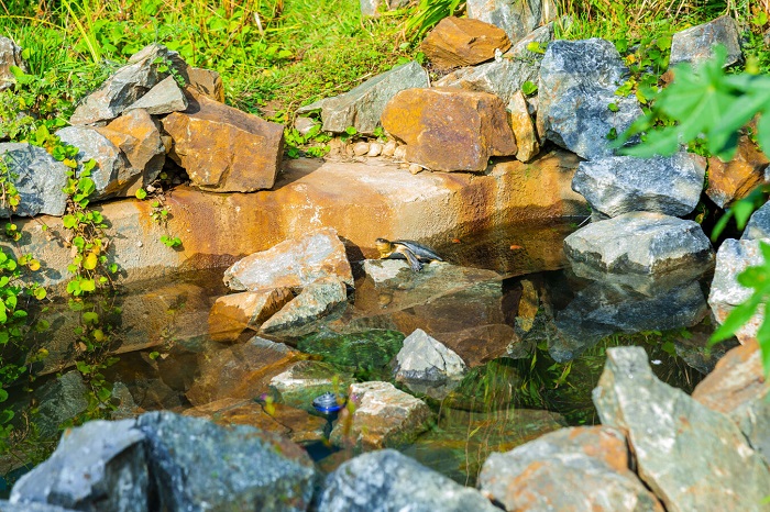 Utunyamasyo dufite igice cyatwo cyihariye hanze