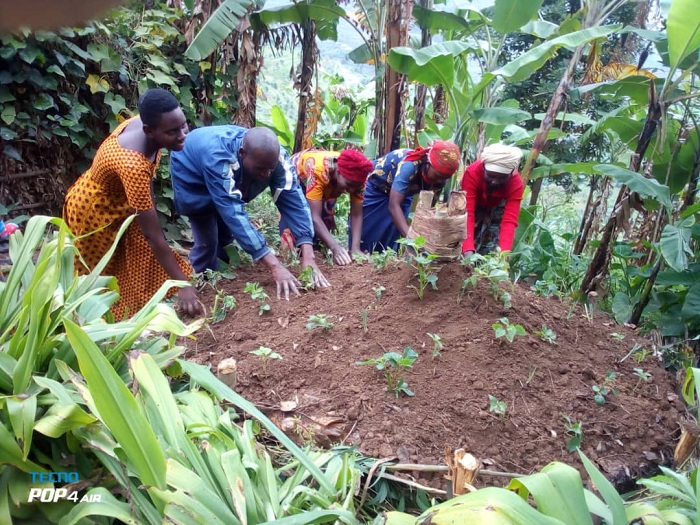 Bafashijwe gutunganya uturima tw'igikoni