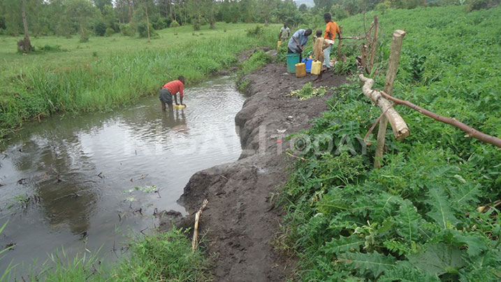Uyu aravoma haruguru ye hari undi uri kuvanga umuti wica udukoko uterwa mu nyanya.