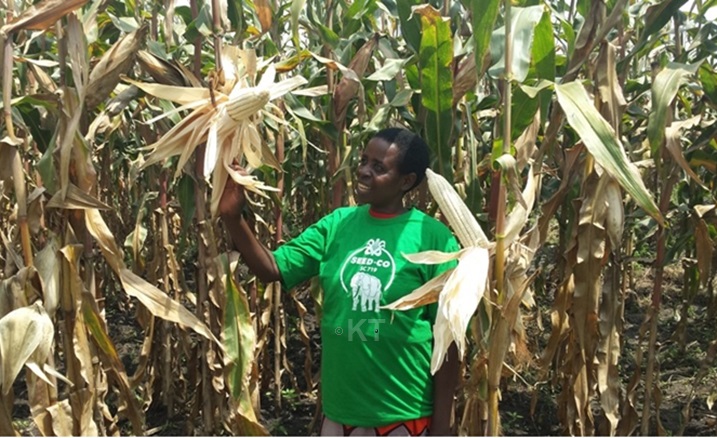 Uzamukunda Dative ngo imirimashuri yatumye agura imbuto zitanga umusaruro mwinshi.