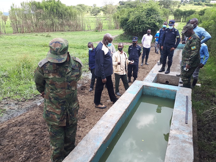 Basabwe kongera ibibumbiro inka zinyweraho kugira ngo zidasubira mu idamu 