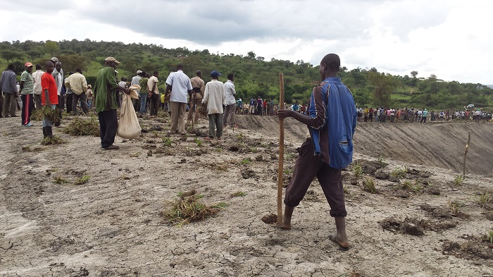 Hari haratewe ubwatsi ku nkengero za valley dam kugira ngo amazi atazajya ayangiza igasibama