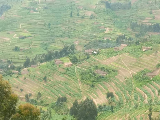 Imirwanyasuri na yo yakorwaga mu mirimo y'agahato