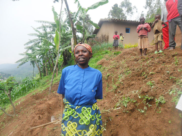 Venansiya waterewe insina.