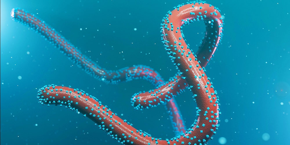 Virusi ya Marburg iherutse kumvikana mu Rwanda, imaze guhitana bamwe, abandi bararwaye