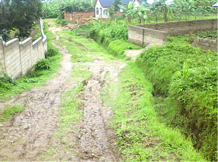 Wakozwe mu muganda wa Nzeri 2015 ku rwego rwakagari. Igice kinini ibyatsi byamaze kumera ntawamenya ko hakozwe.