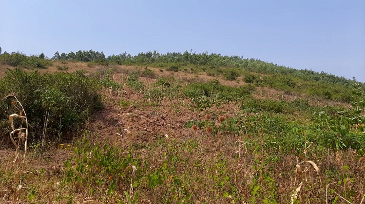 Arahinga agahuza imirima y'abaturage bigateza abaturage