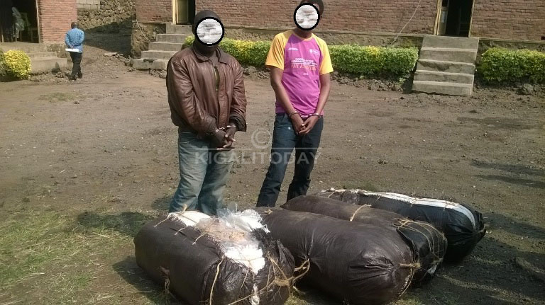 Aba batawe muri yombi bari kwinjiza ibiro 250 by'urumogi muri Rubavu