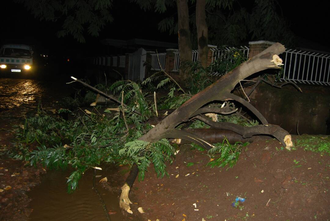 Imvura y'umuhindo iri kugwa irimo umuyaga mwinshi ugatwara ibisenge by'inzu ukanagusha ibiti 