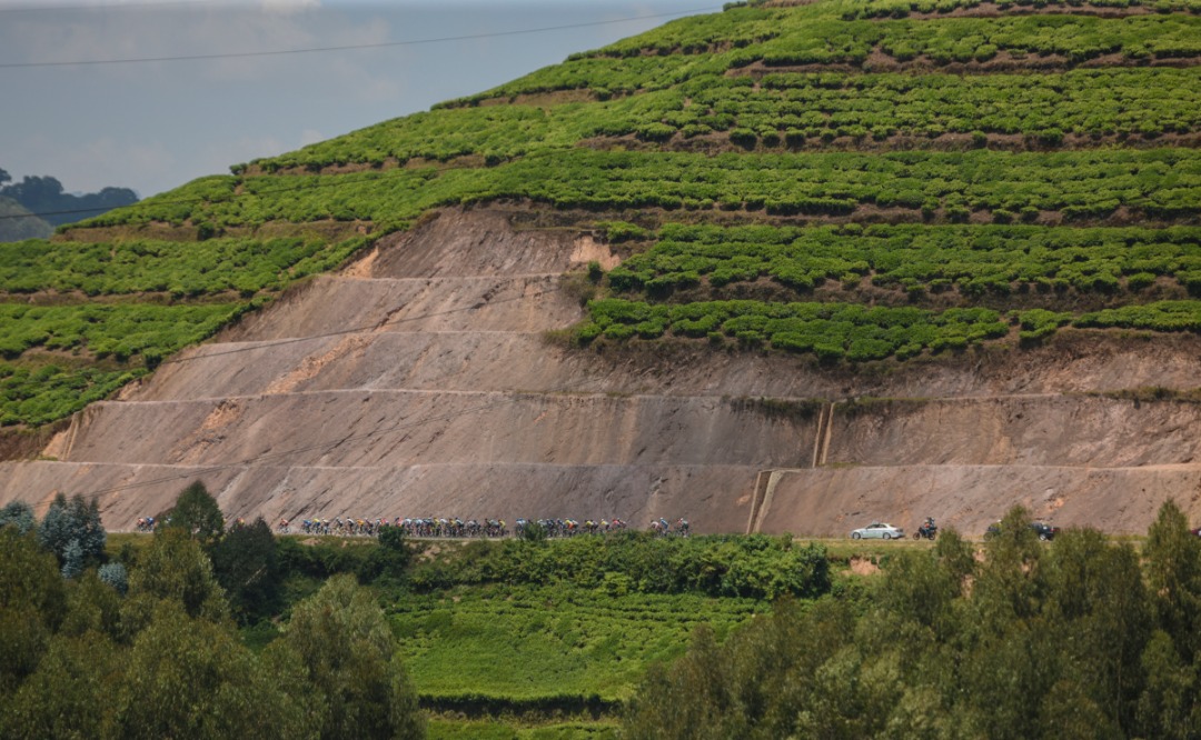 Ayo makorosi anyura ku misozi itatse icyayi