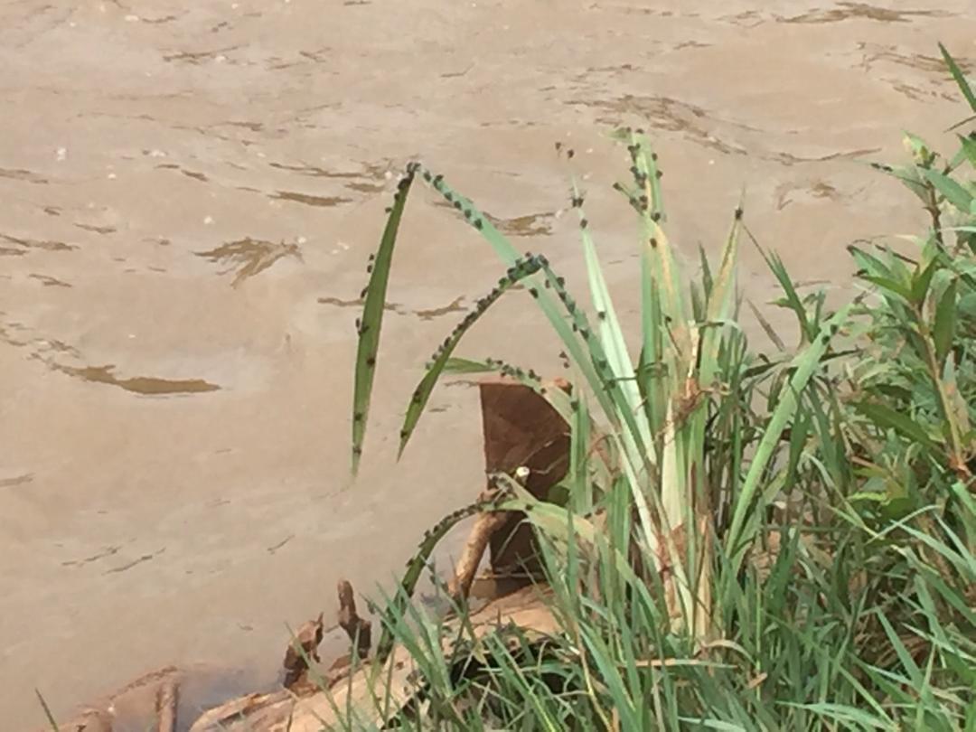 Uruhinja rwatoraguwe muri aya mazi aho hari amasazi