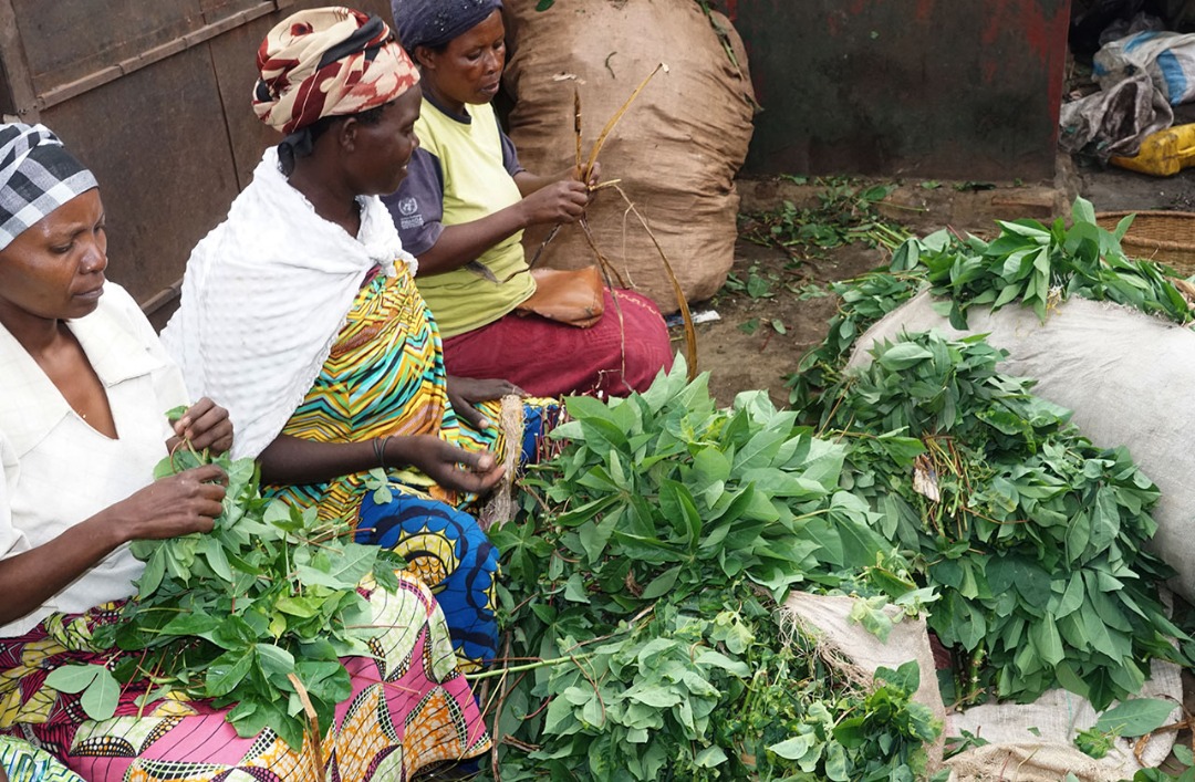 Abakunzi b'isombe nabo zari zihari ku bwinshi