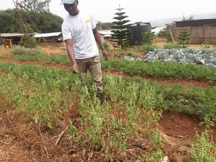 Abakozi ba Long bavuga ko ibirungo byo mu cyayi byitwa 