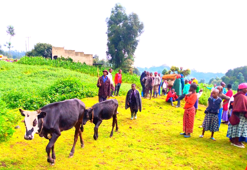 Bamwe bahunganye mu Rwanda n'amatungo yabo