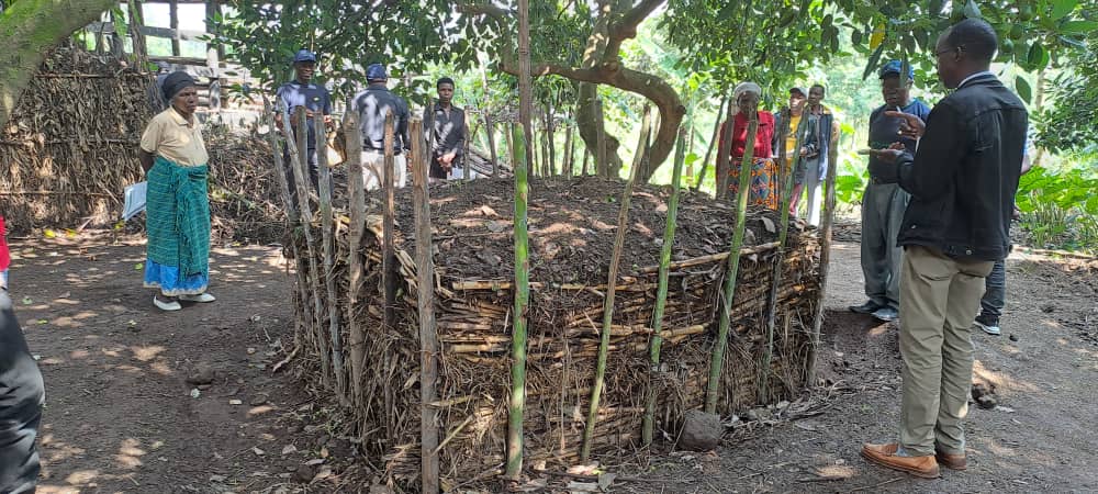 Ifumbire y'imborera bikorera mu gufumbira imyaka yabo