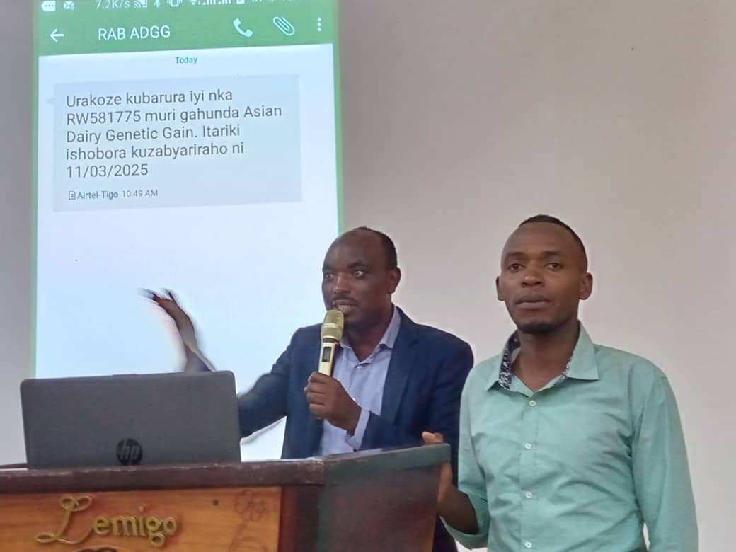 Habayeho kwerekana uburyo ikoranabuhanga rya AADGG rizajya rikora, aho umuntu yandikisha inka yimye rikamubwira igihe izabyarira