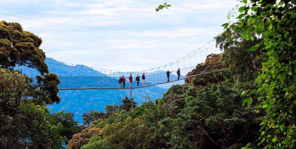 Ikiraro cya Nyungwe Canopy Walk