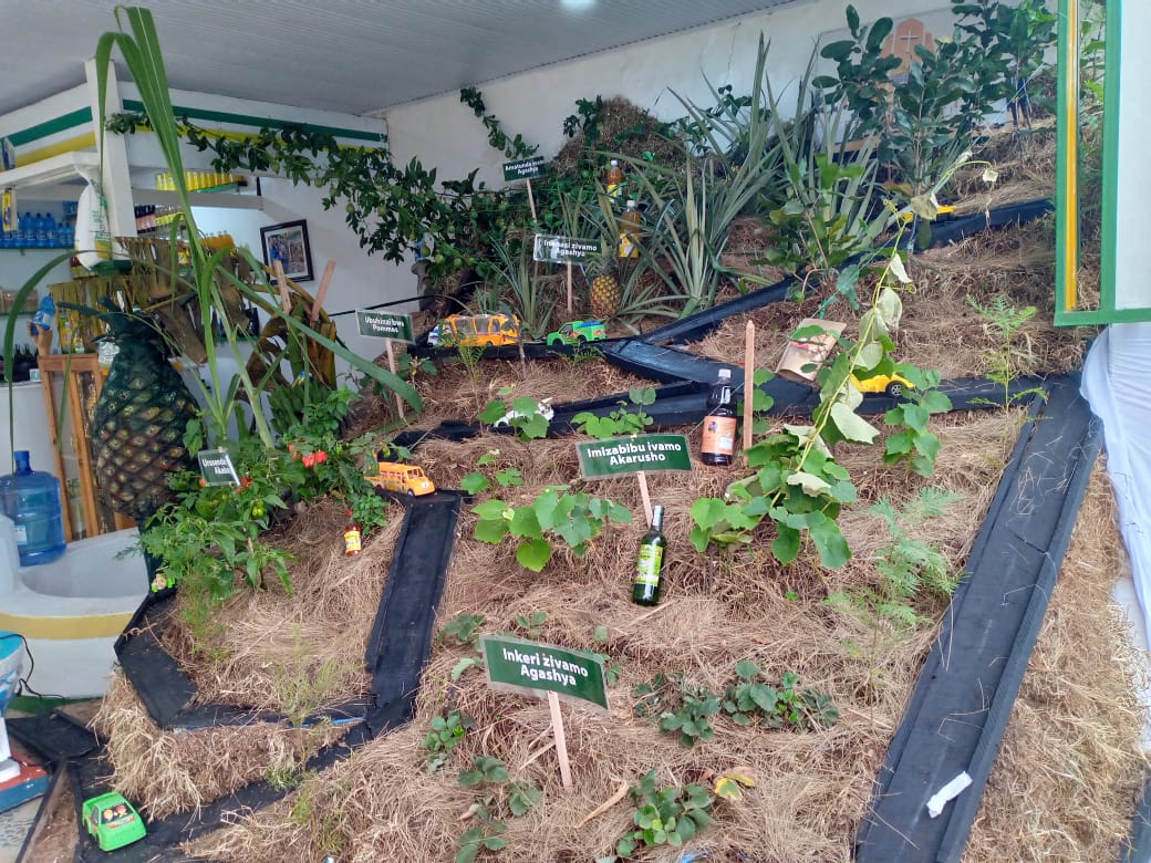 Abantu bashobora no kuhigira uburyo ubuhinzi bw'imyaka itandukanye bukorwa