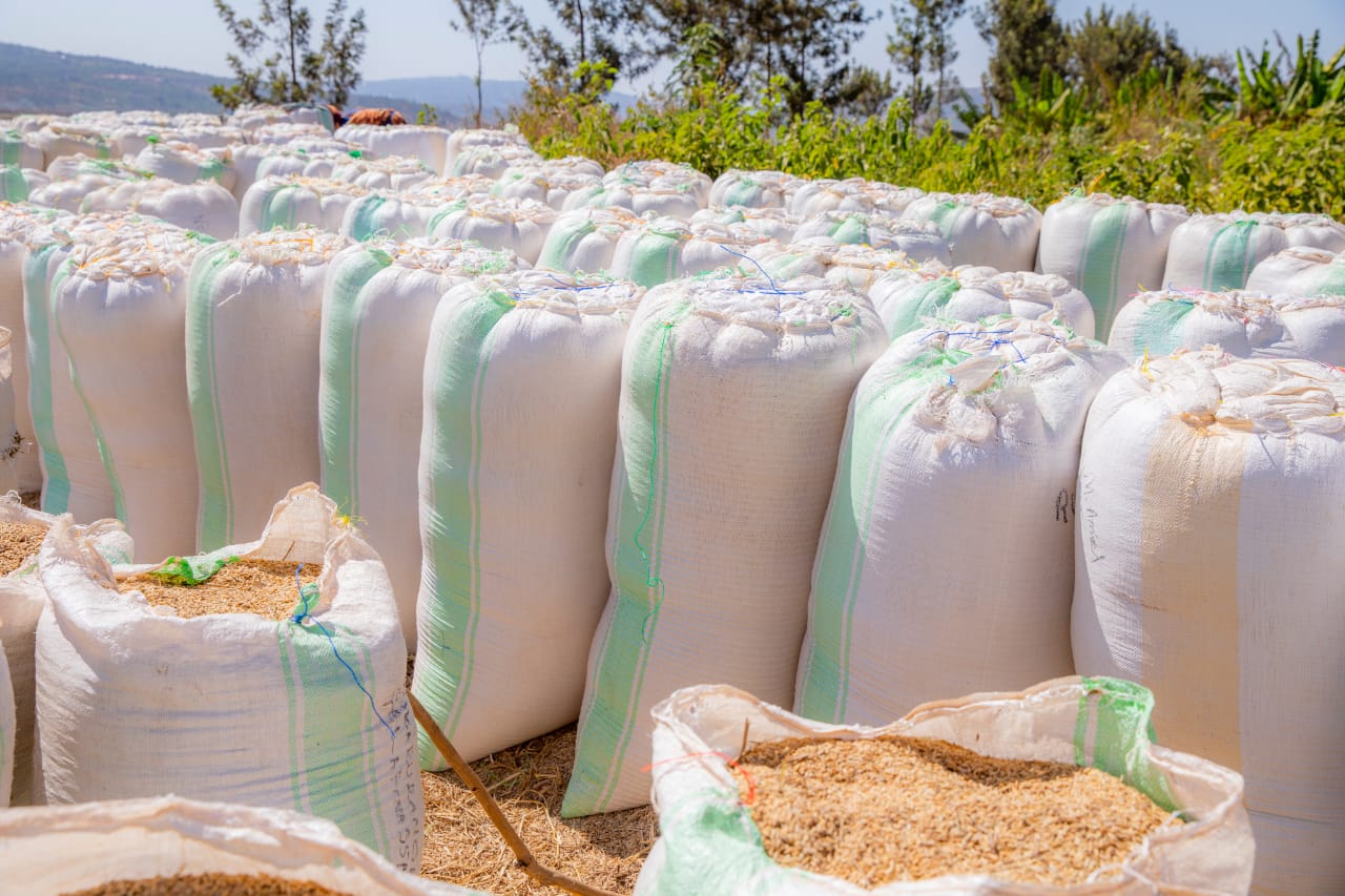 Hakenewe kandi kujyaho urwego rw'abantu bashinzwe gushaka hakiri kare isoko ry'umusaruro, ryaba iriboneka hirya no hino mu Gihugu no hanze yacyo