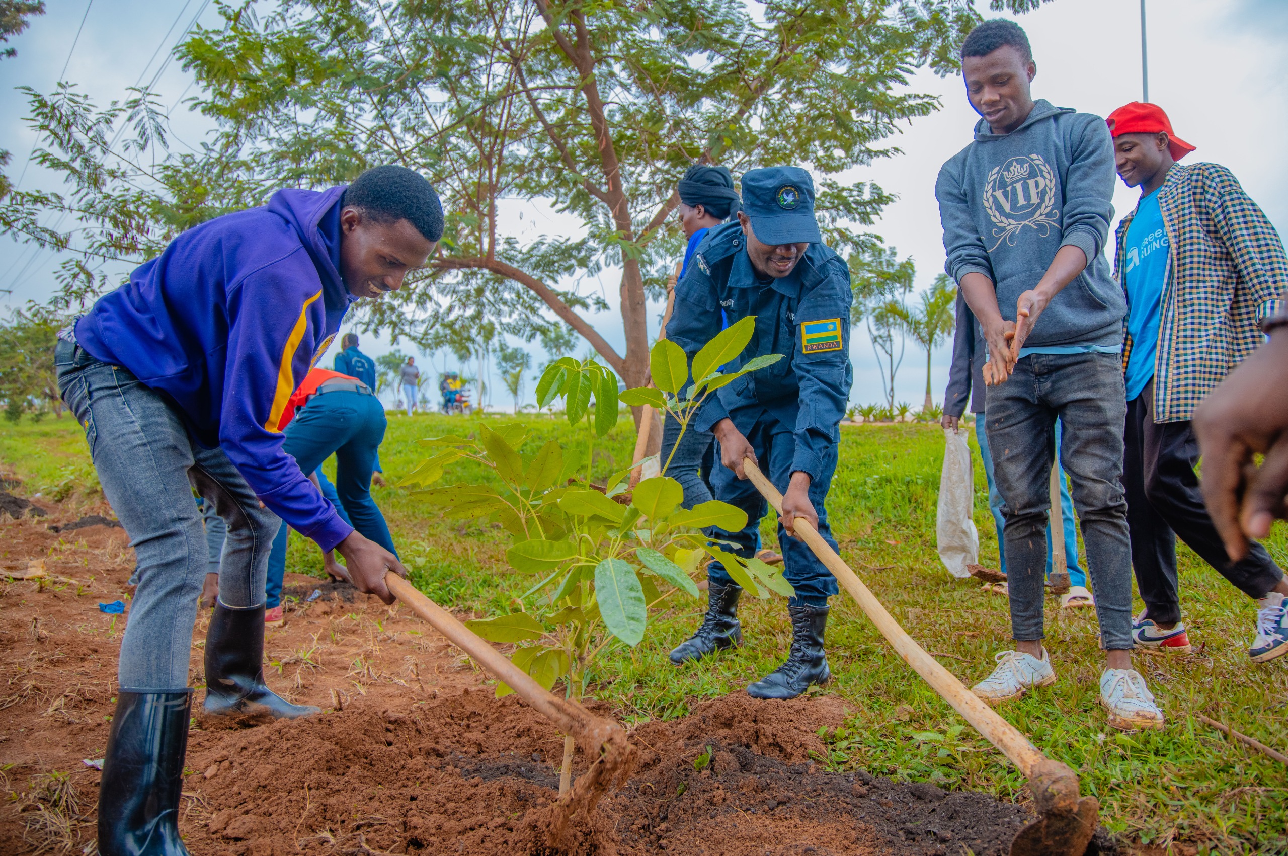 Iyi gahunda yiswe "Igiti cyanjye"