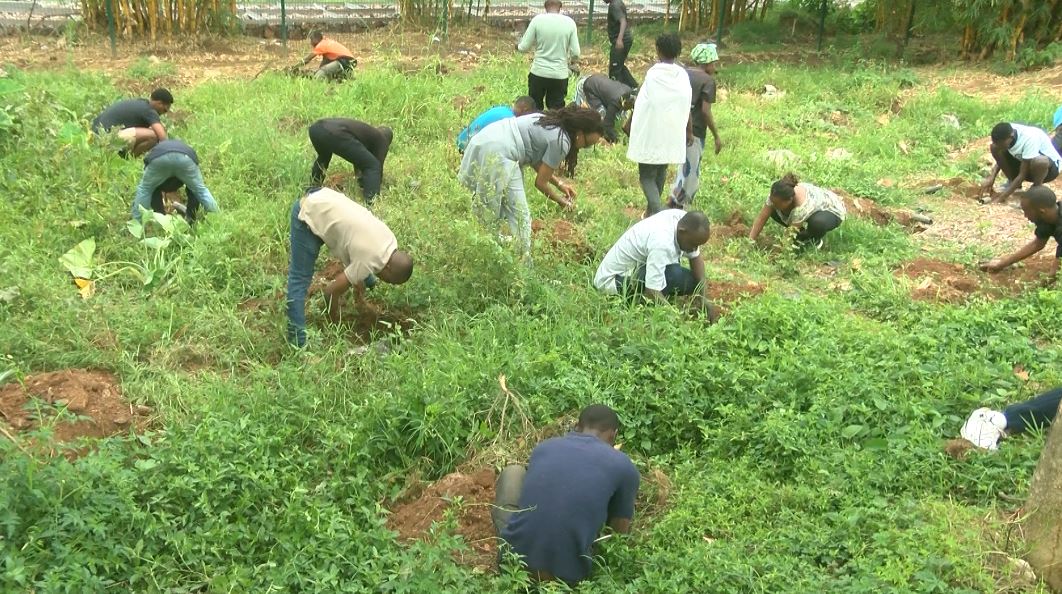 Biyemeje kubungabunga ibiti bateye kuko basobanukiwe neza akamaro kabyo