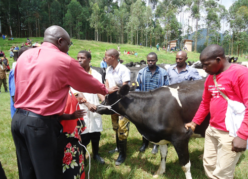 Umuyobozi wa World Vision muri Zone y'Amajyaruguru ashyikiriza abagenerwabikorwa inka zo kubafasha kwiteza imbere.