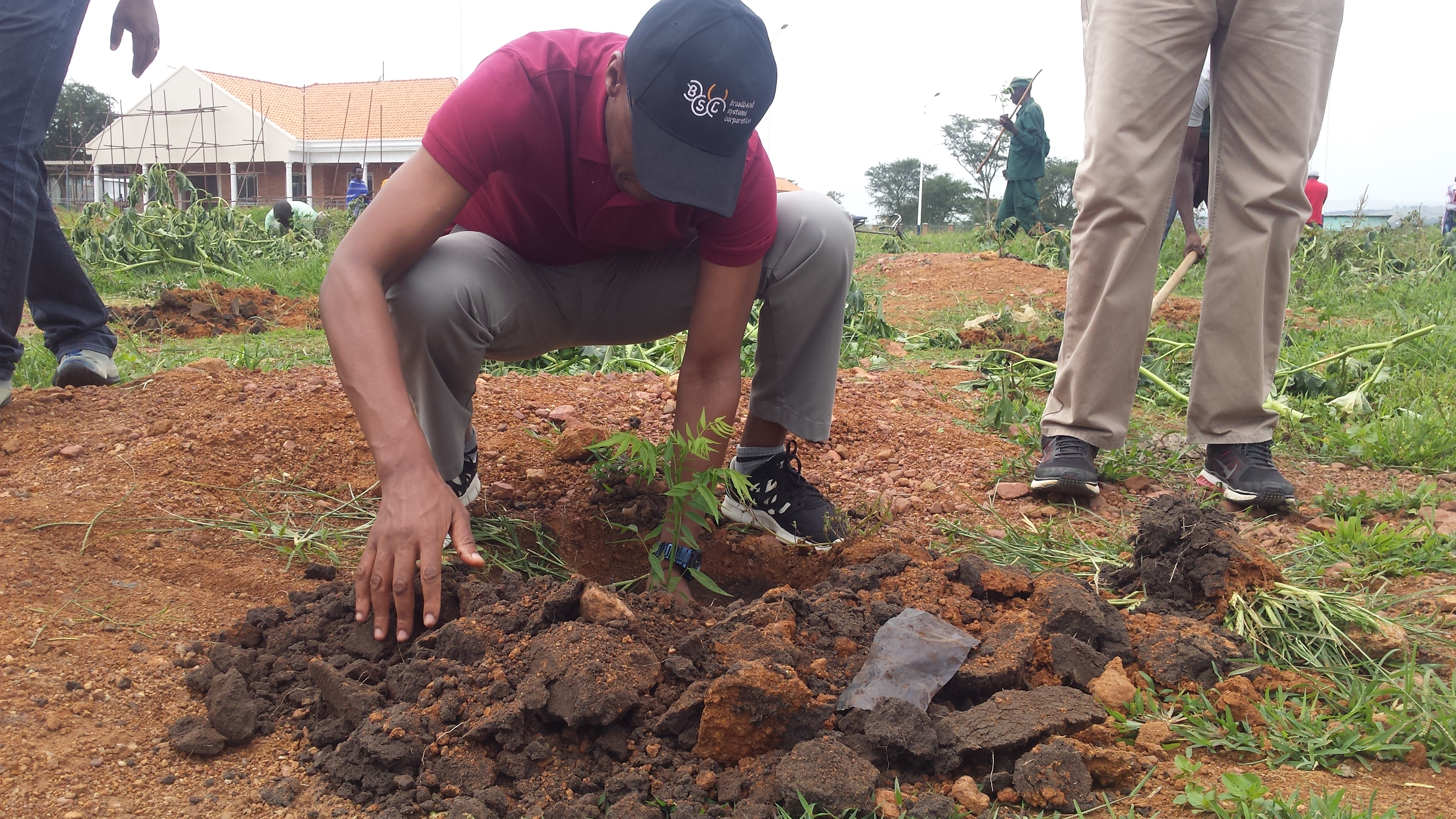Gatarayiha yifatanyije n'abatuye Rwempasha mu muganda wo gutera ibiti