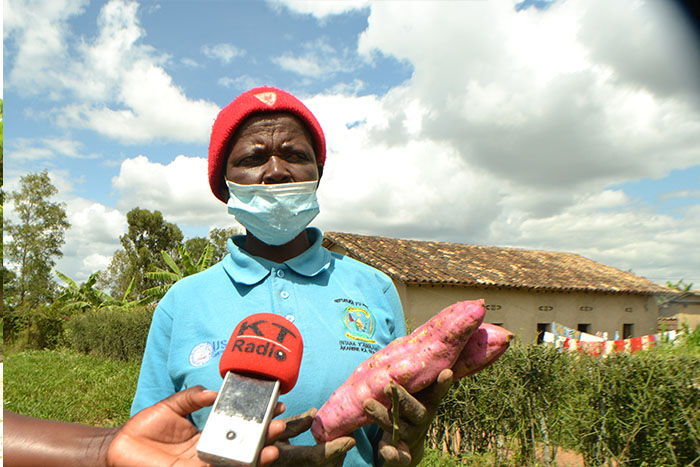 Zaninka avuga ko ibijumba bikungahaye kuri Vitamini A babihongera imboga kugira ngo bongere ubudahangarwa bw'umubiri