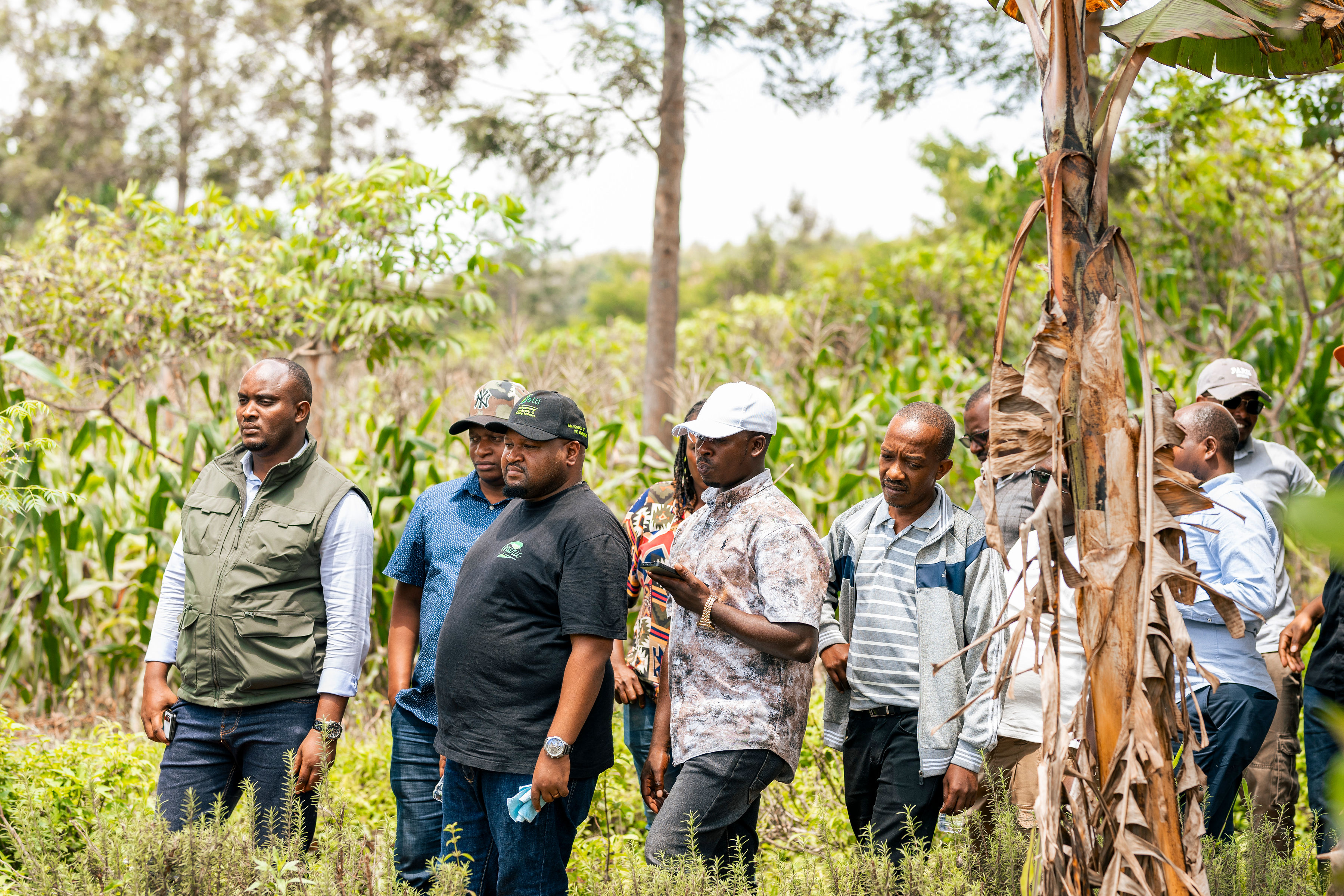 Abantu batandukanye bakorera urugendo shuri mu mirima Albert Nkundabagenzi akoreramo ubuhinzi bw'umwimerere bagasobanurirwa uko bukorwa